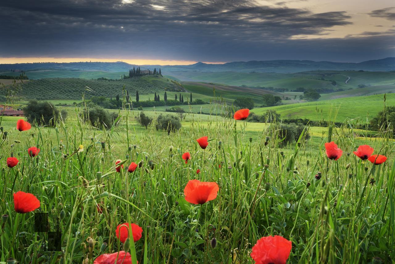 La Bellavita B&B Pienza Exterior foto