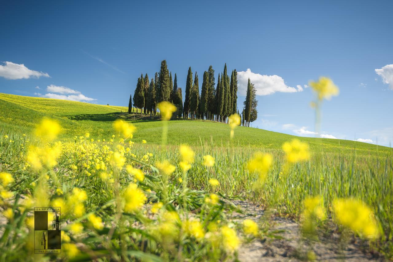 La Bellavita B&B Pienza Exterior foto